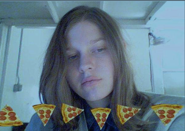 petra-cortright-vvebcam